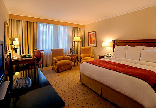 Executive King Guest Room.jpg