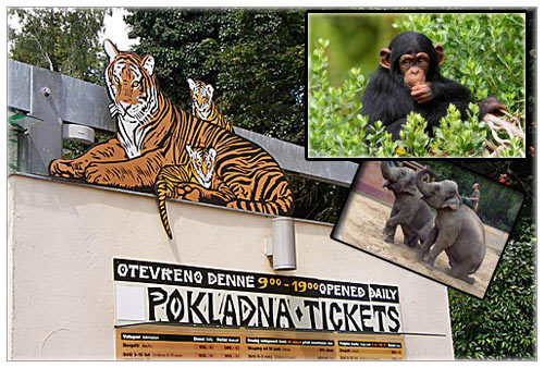 prague_zoo_prg5.jpg